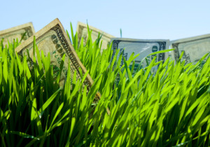 3_20_SPRING-into-money
