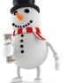 Snowman_Money_Crop