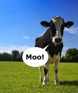 moo