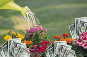 pi4r_money_garden