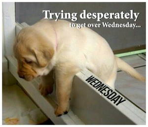 wednesday